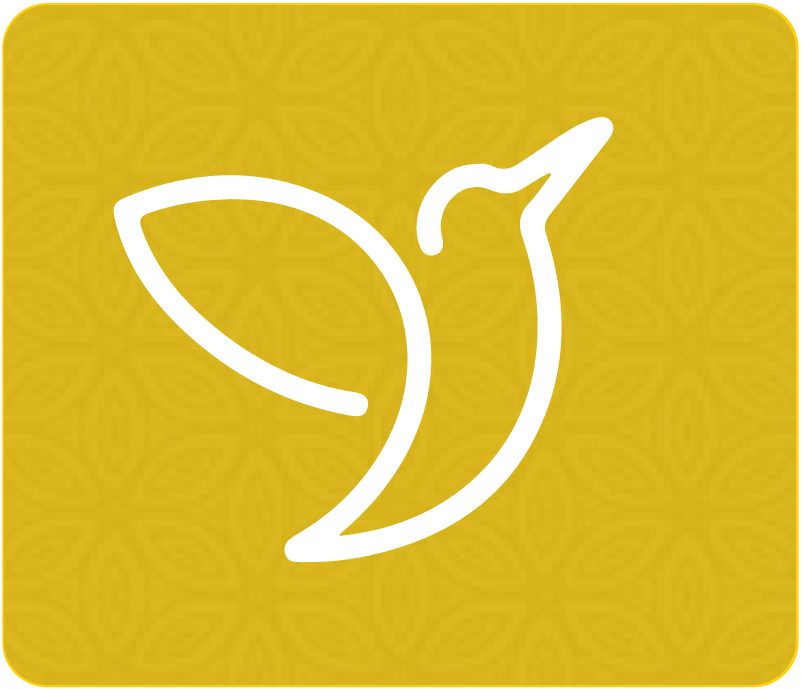 ...assessment icon