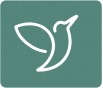 ...assessment icon