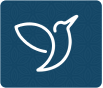 ...assessment icon