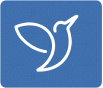 ...assessment icon