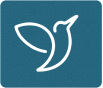 ...assessment icon
