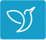 ...assessment icon