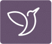 ...assessment icon