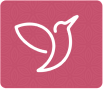 ...assessment icon