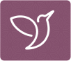 ...assessment icon