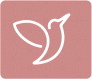 ...assessment icon
